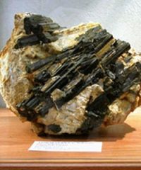 Museo della Mineralogia e Geologia dell’Isola del Giglio