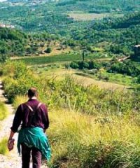 Escursioni Trekking nel Monte Amiata