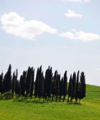CRETE SENESI E VAL D’ORCIA